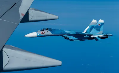 В НАТО обвинили сопровождавший самолет Шойгу Су-27 в небезопасном маневре —  РБК
