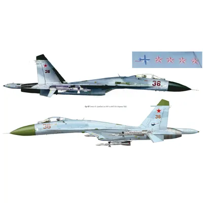 Модель самолета Су-27 ВВС СССР 1:72 HA6001