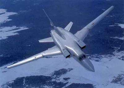 Самолет ТУ-22М3 [Готовая модель] (1:100) - Военные самолеты - космический  магазин AstroZona.ru