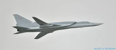 Самолет ТУ-22М3 (RU) [Готовая модель] (1:100) - Военные самолеты -  космический магазин AstroZona.ru