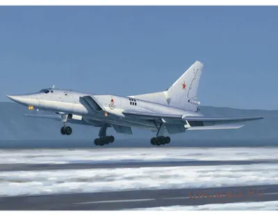 Самолет ТУ-22М3 (RU) [Готовая модель] (1:100) - Военные самолеты -  космический магазин AstroZona.ru