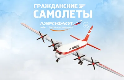 Первым делом - самолеты: Исполняется 100 лет гражданской авиации России -  Российская газета
