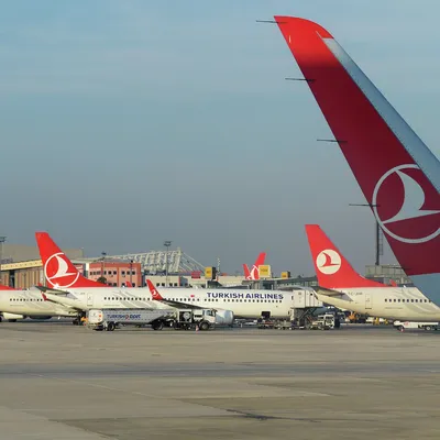 Авиакомпания Turkish Airlines (Турецкие Авиалинии)
