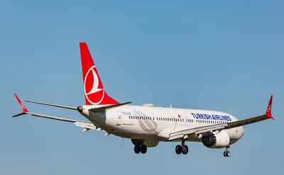 Турецкие байки - Национальный перевозчик Turkish Airlines... | Facebook