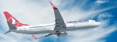 Boeing 737-900 ER | Парк самолетов | Turkish Airlines ®