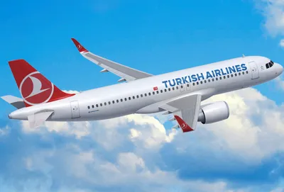 Turkish Airlines – Контакты, Отзывы, Правила | Crazy Llama