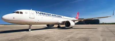 Самолет Turkish Airlines начертил в небе самый большой национальный флаг в  честь 100-летнего юбилея со дня основания Великого национального собрания  Турции