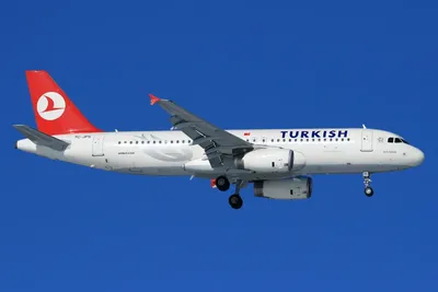 Turkish Airlines: история авиакомпании, маршрутная сеть, классы  обслуживания | PEGASUS.RU | Авиабилеты на популярные направления | Дзен