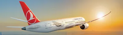 Turkish Airlines войдёт в семёрку мировых гигантов по авиаперевозкам |  Большая Азия