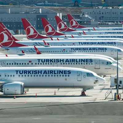 Turkish Airlines закажет 600 самолетов и полетит в Австралию | Ассоциация  Туроператоров