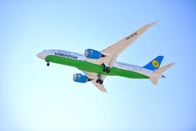 Первый Airbus A320neo прибыл в Ташкент (+фото) – Новости Узбекистана –  Газета.uz