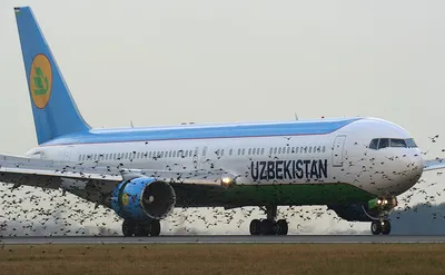 Авиация Узбекистана в зеркале новой истории | UZBEKISTAN.LV