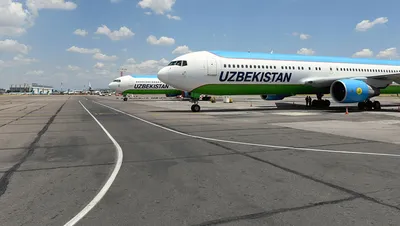 Самолет Uzbekistan Airways приземлился в Стамбуле с птицей в двигателе