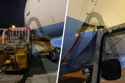 В фюзеляж попала птица: пассажирский самолет вынужденно сел в аэропорту  Новосибирска