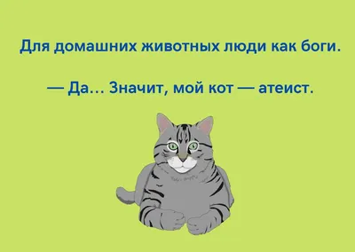 Смешные истории про котов и кошек