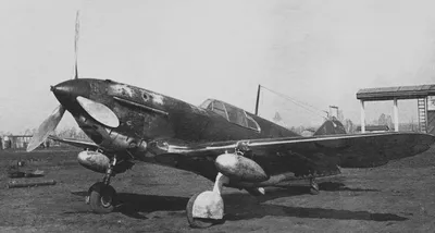 Истребитель Focke-Wulf фельдфебеля Пауля Раца, сбитый в Ленинградской  области в июле 1943 года… — Сообщество «Это интересно знать...» на DRIVE2