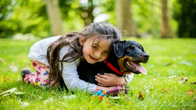 Собака в семье: психология взаимоотношений Husse Калининград