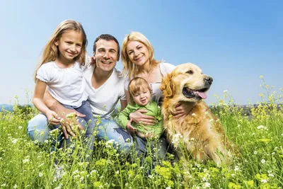 Счастливая Собака Семья - Бесплатное фото на Pixabay - Pixabay
