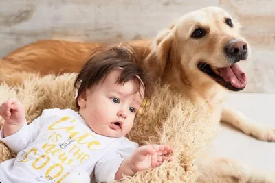 Каждому животному по семье: в Николаеве состоялась благотворительная акция  по устройству собак