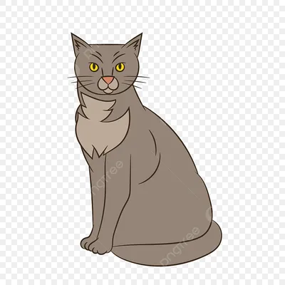 Кот без породы Простой серый кот Стоковое Изображение - изображение  насчитывающей смотреть, усаживание: 114545069