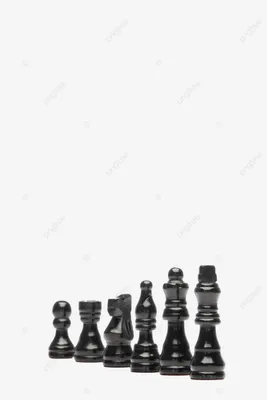 Обои на рабочий стол Черная фигура шахматной фигуры коня на зеленом фоне,  обои для рабочего стола, скачать обои, обои бесплатно
