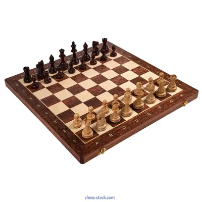Сказка о путешествии шахматного коня | Маленькая шахматная школа | Дзен