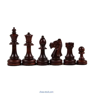 Кто сказал, что у шахматного коня одно название? | Шах и мат | Дзен
