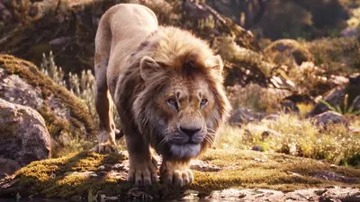 Обзор фильма «Король Лев». Плюшевый Симба — Игромания