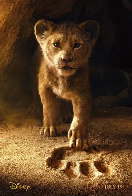 Вышел первый трейлер фильма «Король Лев» от Disney