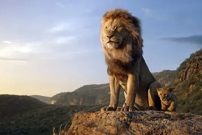 Симба и Муфаса на свежем постере фильма «Король Лев»