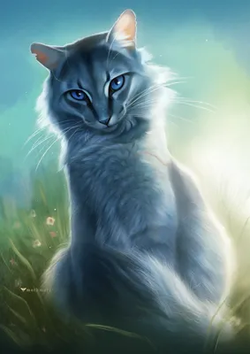 Синий кот арт - 31 фото