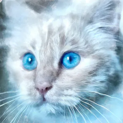 Синий кот | Пикабу