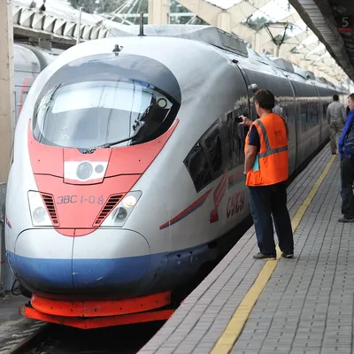 Модель Технопарк Сапсан Скоростной поезд 314356 купить по цене 32.5 руб. в  интернет-магазине Детмир