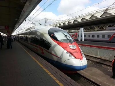 Скоростной поезд «Сапсан» сообщением Москва – Петербург: как купить билеты,  цены, советы