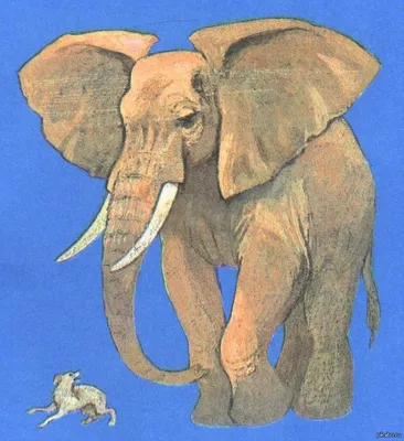 Смотреть диафильм Слон и Моська