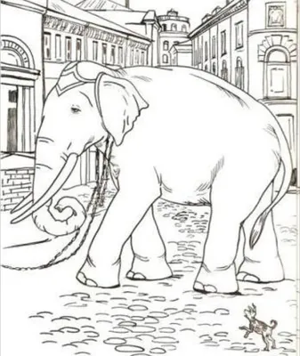Слон и Моська (Иван Крылов) - купить книгу с доставкой в интернет-магазине  «Читай-город». ISBN: 978-5-90-700013-1