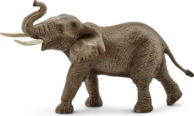 Африканский слон в изоляции на белом Стоковое Изображение - изображение  насчитывающей слон, вышесказанного: 199996909