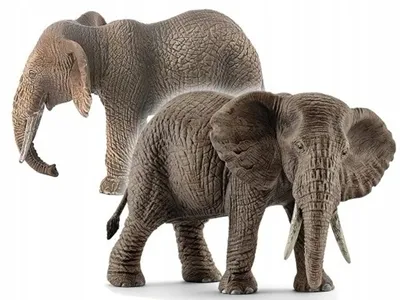 Африканские слоны — Циклопедия