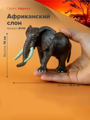805 538 рез. по запросу «Слоны» — изображения, стоковые фотографии,  трехмерные объекты и векторная графика | Shutterstock
