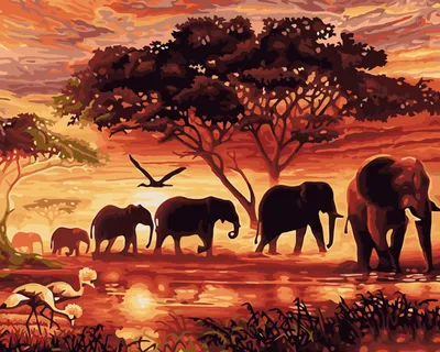 Африканский Слон Животное - Бесплатное фото на Pixabay - Pixabay