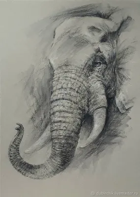 Векторный рисунок слона иллюстрация штока. иллюстрации насчитывающей  смогите - 198430360