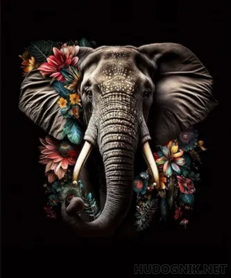 Раскраска милого слона. Вид на милого слона спереди. Картинки раскраски.