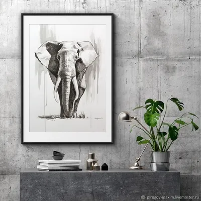Купить Рисунок слона, рисунок слона, термопереносная печать, виниловые  нашивки, наклейки для одежды, аппликации «сделай сам», моющиеся нашивки |  Joom