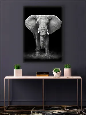 Картина на стену для интерьера \"Слон на чёрном фоне\" на натуральном холсте  30*40 см - купить по низкой цене в интернет-магазине OZON (484176656)