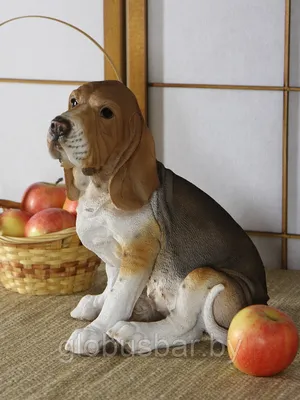 Beagle щенок шапочки пуловер Кепка Удобная Бигль Щенок собака собаки  домашнее животное немецкая овчарка пудель щенки Бульдог | AliExpress
