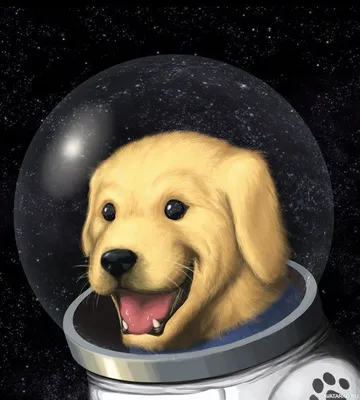 Белка и Стрелка: история первых собак-космонавтов» — создано в Шедевруме