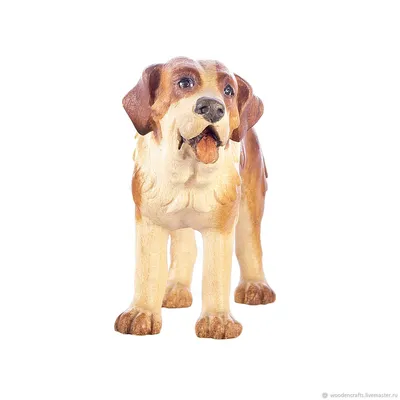 Сенбернар (Saint Bernard) - это порода собак известная во всем мире.  Описание, отзывы, фото породы.
