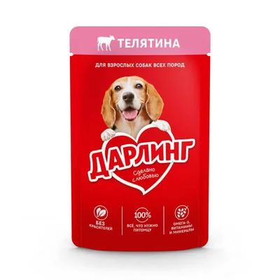 Фотофакт: выставка собак всех пород Good Dog проходит в Минске -  Минск-новости