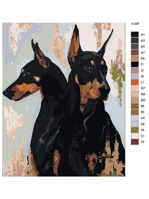 собака doberman стоковое фото. изображение насчитывающей доберман - 4958514