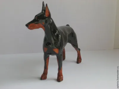 Pinscher собаки doberman стоковое изображение. изображение насчитывающей  огромно - 14923649